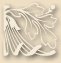 c0121496_111841.gif