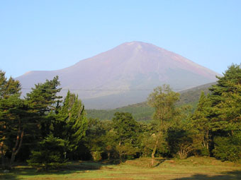 ちび、今年初の近畿外　No.１_e0083097_2143027.jpg