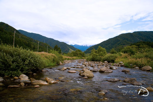 f0085599_17167.jpg