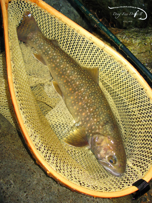 f0085599_183911.jpg