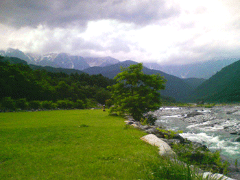 e0083204_0122659.gif