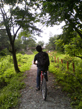 e0083204_0164930.gif