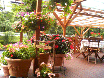 e0083204_0205879.gif
