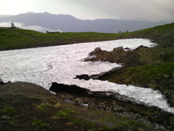 e0083204_0251720.gif