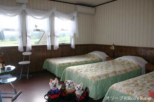 わんこ隊と行く旅 那須高原編 Vol 1 ペンション オリーブ Rico S Room
