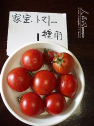 b0102720_2339775.jpg