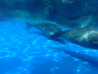 f0142721_14222214.jpg