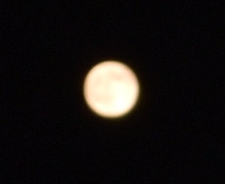c0004734_21433679.jpg