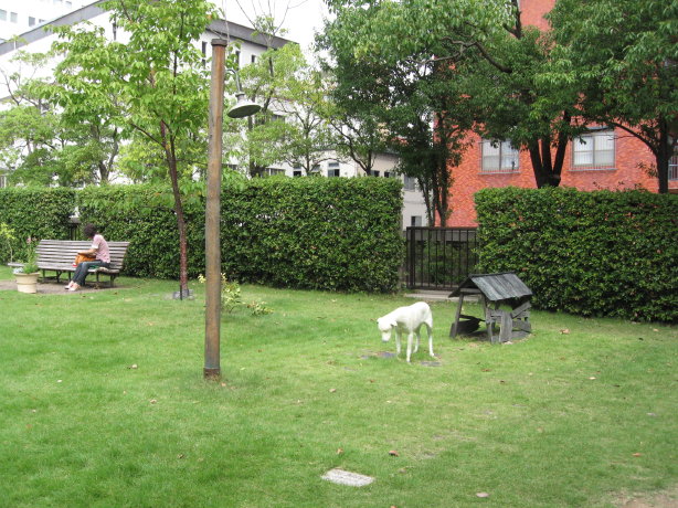 f0068334_1462152.jpg
