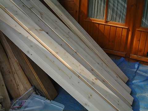f0090444_20586.jpg