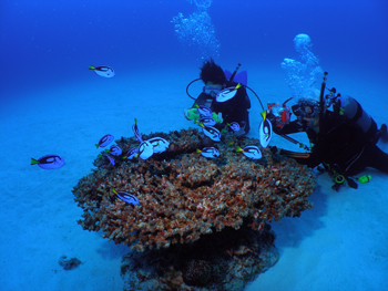 d0065247_23441555.jpg