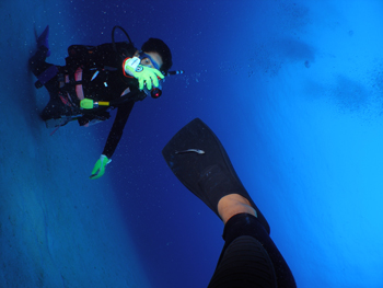 d0065247_23442683.jpg