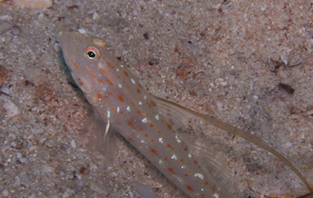 d0065247_23444066.jpg