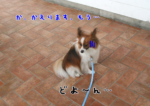 d0013149_0172928.jpg