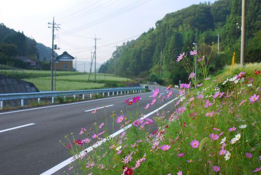 金砂郷そば街道を行く_f0089349_2227468.jpg