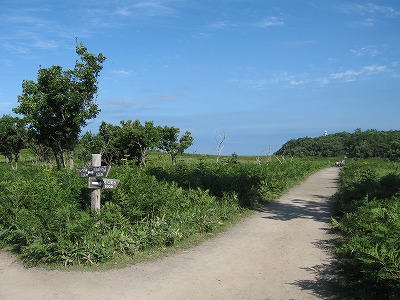 知床への旅　二日目　フレペの滝散策_c0020653_15154260.jpg