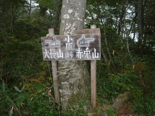 c0097754_2157996.jpg