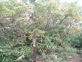 c0097754_21592192.jpg