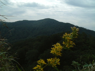 c0097754_2201426.jpg