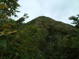 c0097754_2205337.jpg