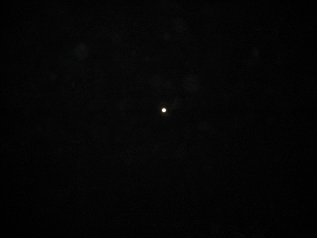 c0127358_10362779.jpg