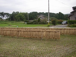 d0129358_14121335.jpg