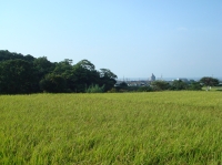 長松海岸からみさき公園駅前団地へ_c0108460_19515421.jpg