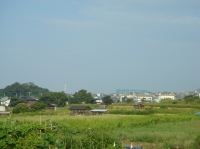 長松海岸からみさき公園駅前団地へ_c0108460_19525075.jpg