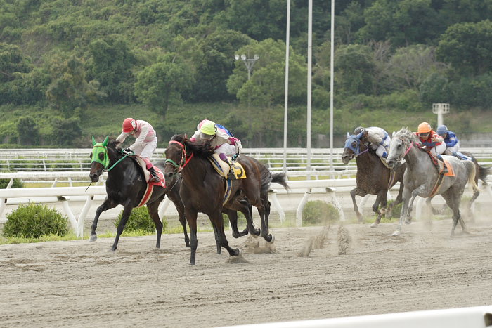 2007年9月24日（月） 高知競馬 3R タカシマシンザン特別_a0077663_18293849.jpg