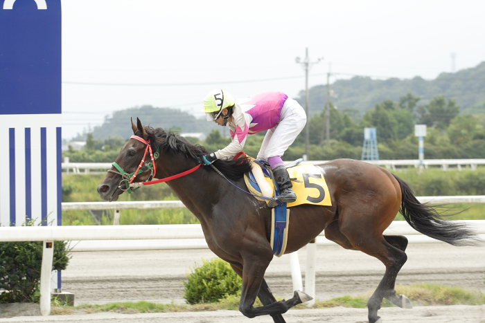 2007年9月24日(月) 高知競馬 3R タカシマシンザン特別_a0077663_18294839.jpg
