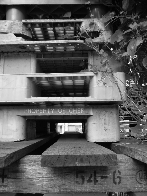 c0084666_09425.jpg