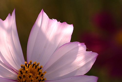 d0132769_2252579.jpg