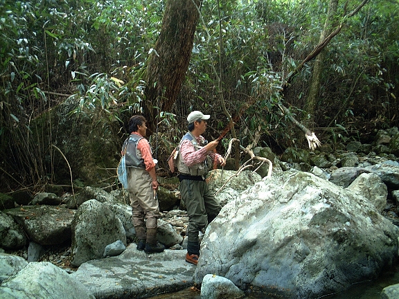 d0129886_20332242.jpg