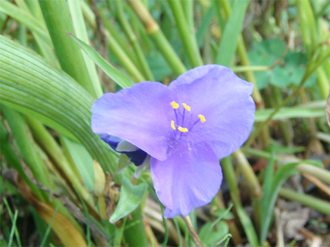 f0146493_94324.jpg