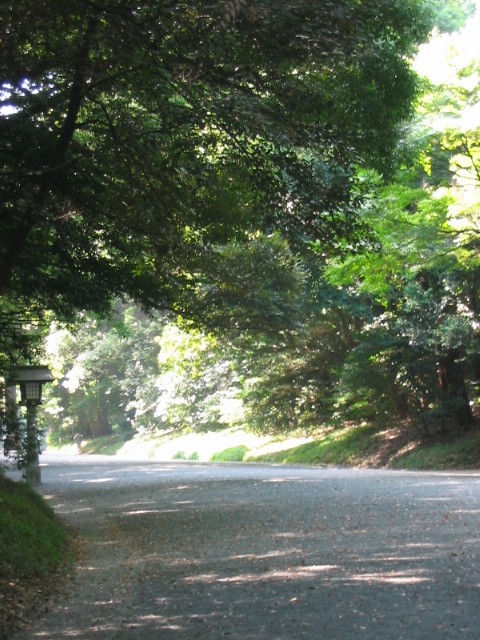 神宮の杜_a0091095_15174485.jpg
