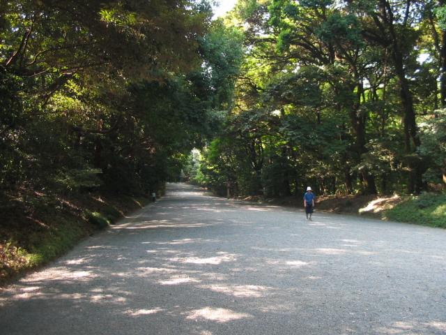 神宮の杜_a0091095_15265.jpg