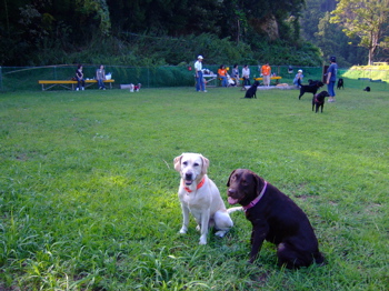 f0001698_1105514.jpg