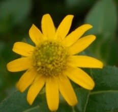 c0132205_15214338.jpg