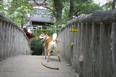 c0066906_2271230.jpg