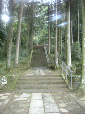 箱根で合宿中!_c0125114_1173214.jpg
