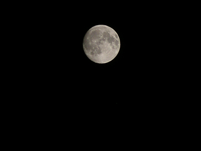 f0108133_11330.jpg