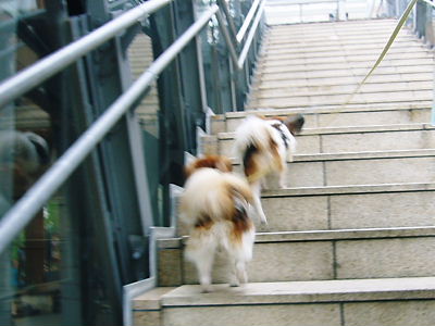 e0100046_15515318.jpg