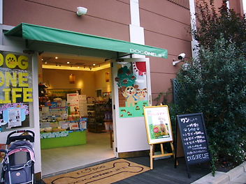 e0100046_15555556.jpg