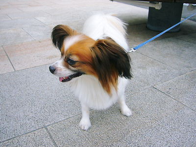 e0100046_15572245.jpg