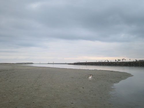 朝海 3 とデュッテ(と私の)近況_f0013255_3382361.jpg