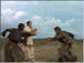 a0085558_20726.gif
