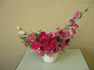 秋のお花いろいろ_e0068962_9535576.jpg