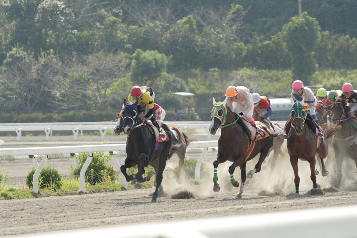 2007年9月23日（日） 高知競馬 6R 秋好＆幸代結婚特別_a0077663_754321.jpg