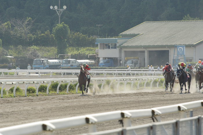2007年9月23日（日） 高知競馬 6R 秋好＆幸代結婚特別_a0077663_7544238.jpg