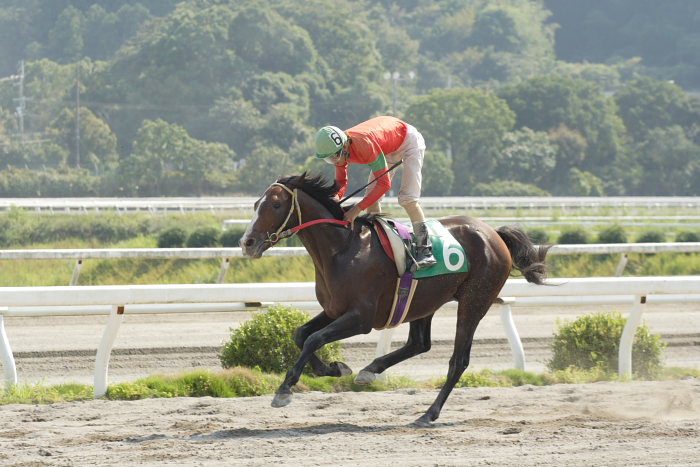 2007年9月23日（日） 高知競馬 6R 秋好＆幸代結婚特別_a0077663_7551852.jpg